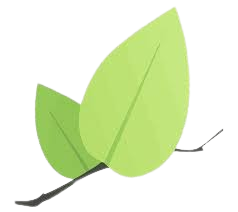 Leaflet