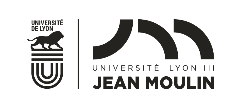 Lyon 3